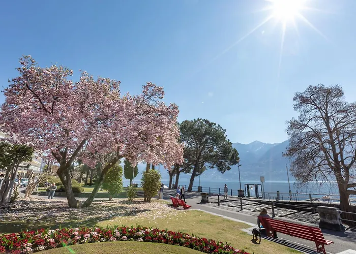 Da Gina Honey Moon By Interhome Apartament Ascona