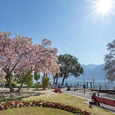Da Gina Honey Moon By Interhome Apartment Ascona